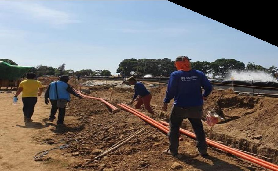 Palaya Shrimp Farm â€” works 3